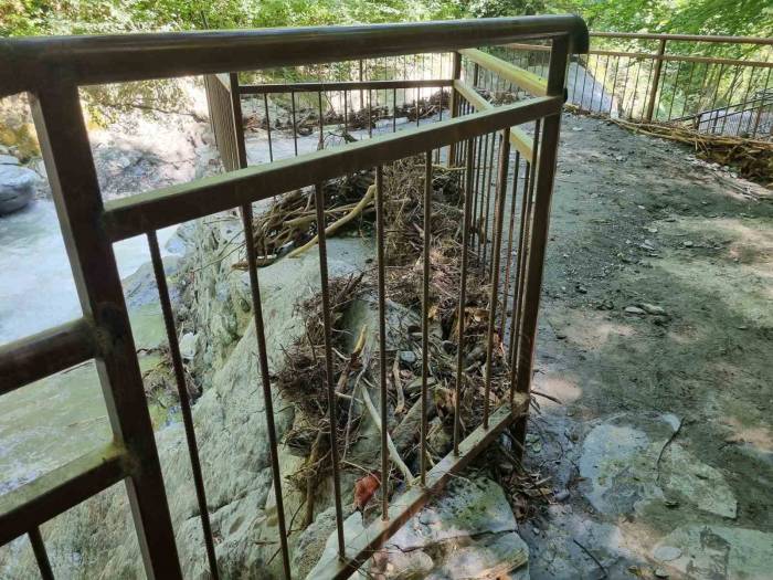 Sel Sonrası Tabiat Anıtı Alanları Temizlendi