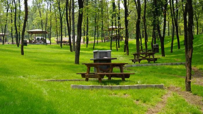 700 Yıllık Osmanlı Köyü’ne Devasa Orman Parkı