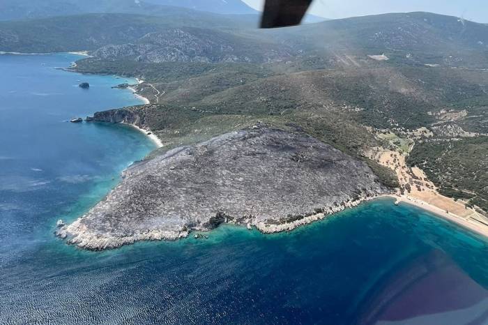 İzmir’deki Orman Yangınında Gözaltına Alınan Şüpheliler Serbest Bırakıldı