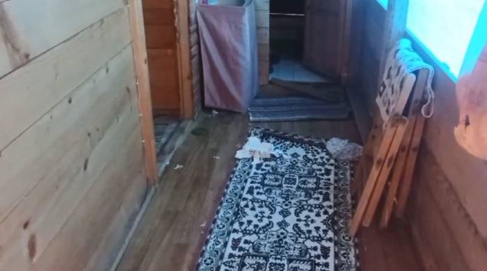 Artvin’de Aç Kalan Ayılar Yayla Evlerini Talan Etti