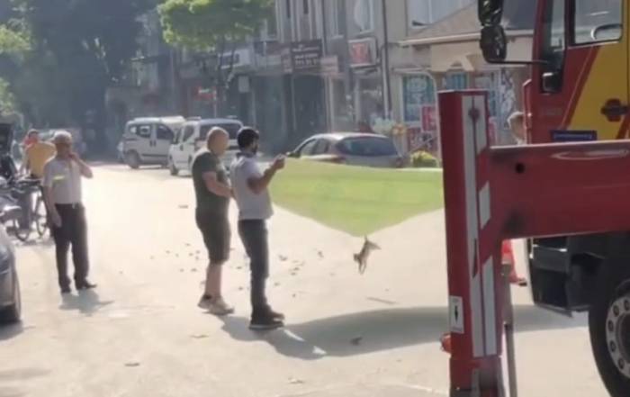 Esnaf Ve İtfaiyeden Kedi Operasyonu