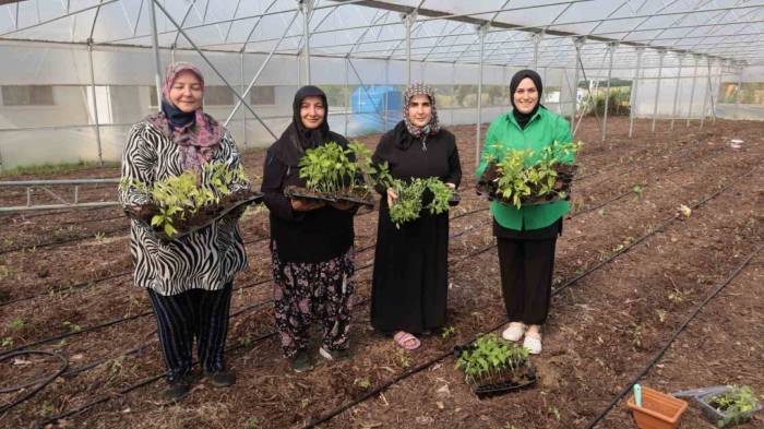 Kadın Girişimcilere Destek