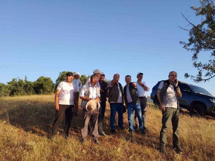 Balıkesir’deki Orman Yangını Kontrol Altına Alındı
