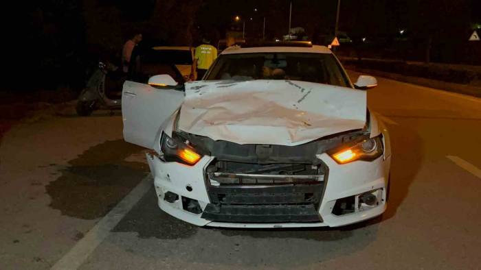 Otomobilin Çarptığı Hayvan Telef Oldu