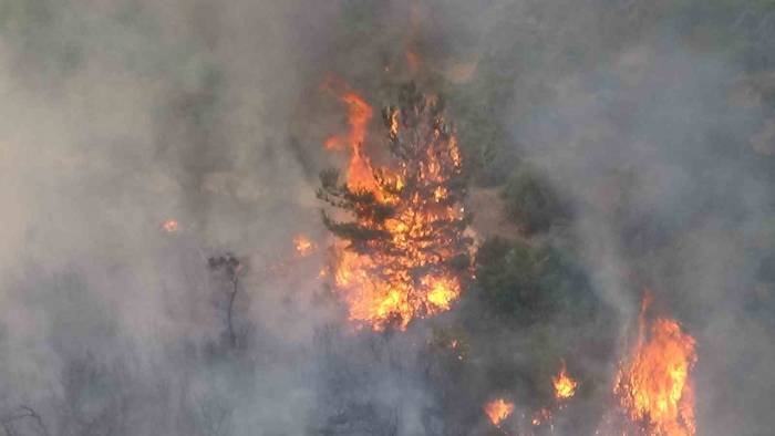 Çanakkale’deki Orman Yangınında 28 Saat Geride Kaldı