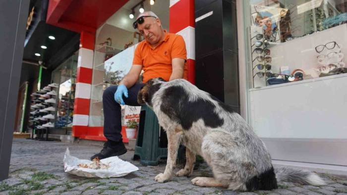 7 Yıl Önce Yaralı Halde İş Yerinin Önüne Gelen Sokak Köpeği Esnafın "dost"u Oldu