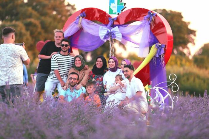 İzmit’in Mor Bahçesi Göz Kamaştırıyor