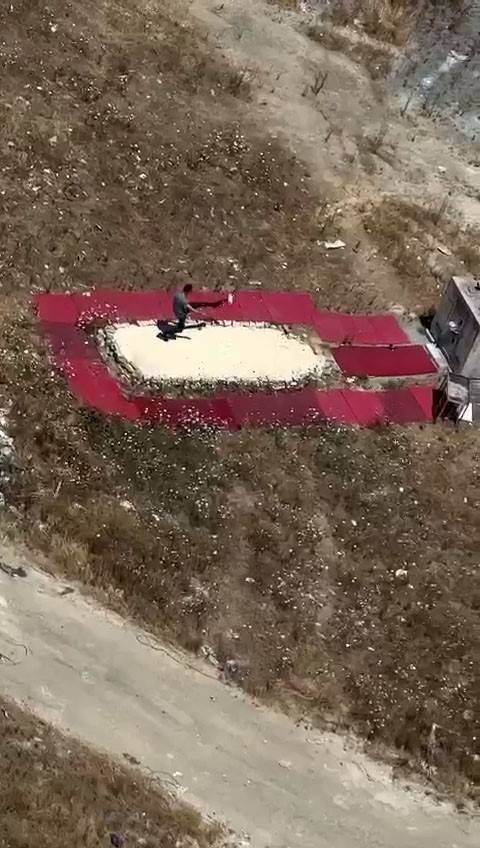 İstanbul’da Hayvana Şiddet Kameraya Yansıdı: Güvercini Fırlatıp Tekmeledi