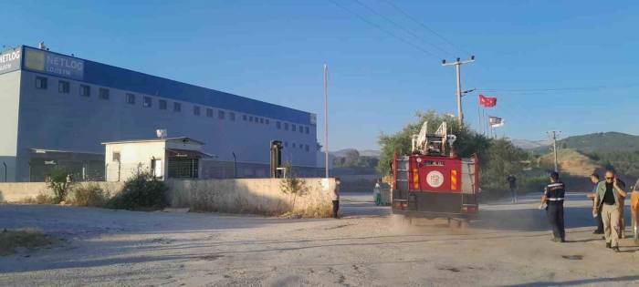 Lojistik Firmasına Ait Depodaki Yangın Söndürüldü