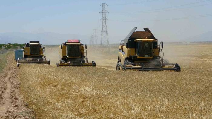 Sultansuyu’nda Hububat Hasadı Başladı