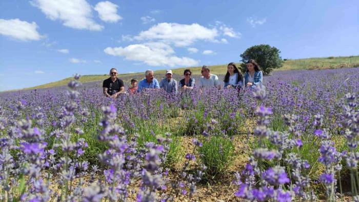 Yurt Dışından Geldi, Bozkırı Lavantaya Bürüdü