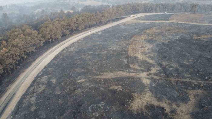 Çanakkale’deki Orman Yangınına 38. Saatte Ekipler Müdahale Etmeye Devam Ediyor