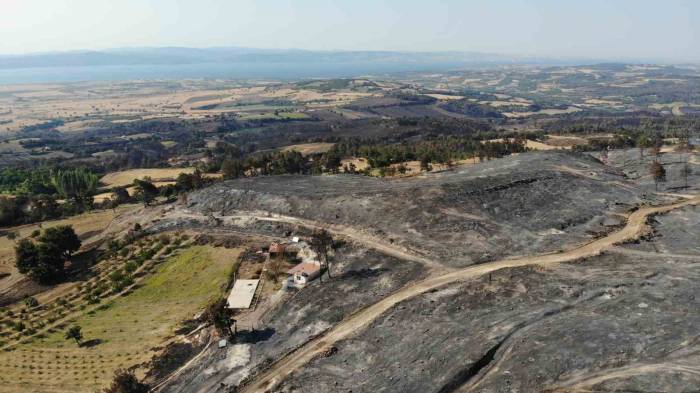 Çanakkale’deki Orman Yangını 52 Saat Sonra Kontrol Altına Alındı