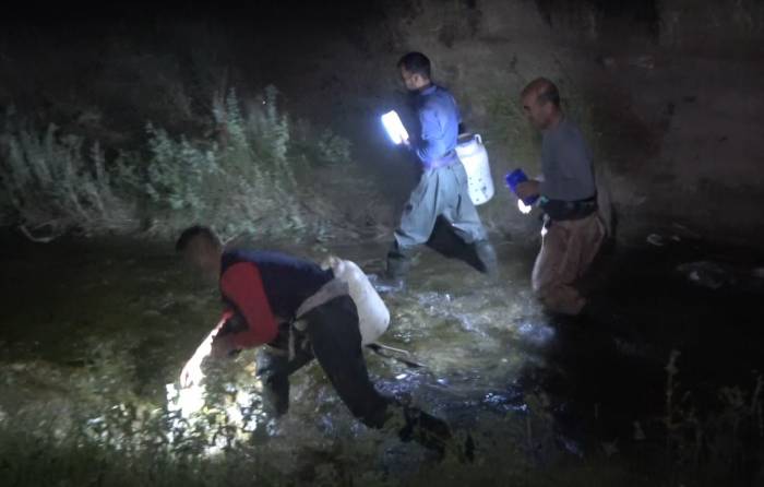 Kurbağa Avcılarının Gece Mesaisi