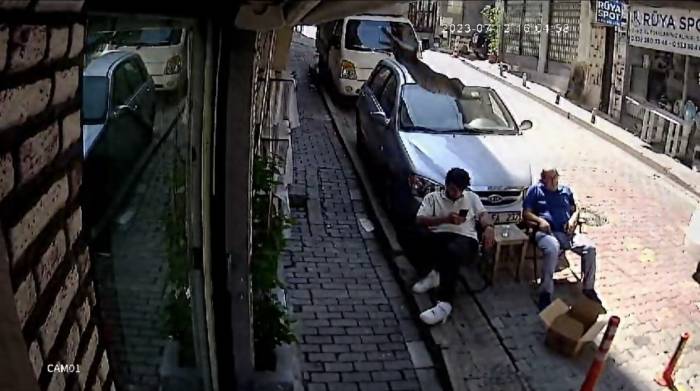 Kağıthane’de Şoke Eden Olay Kamerada: İkinci Kattan Üzerine Kedi Düştü