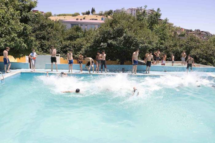 Sıcak Havalarda Havuza Girerek Serinliyorlar