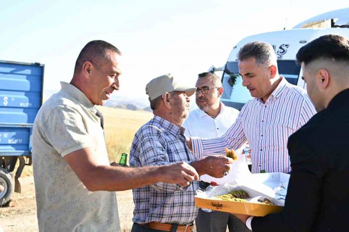 Mamak’ta Yapılan Hasat Çiftçiyi Mutlu Etti