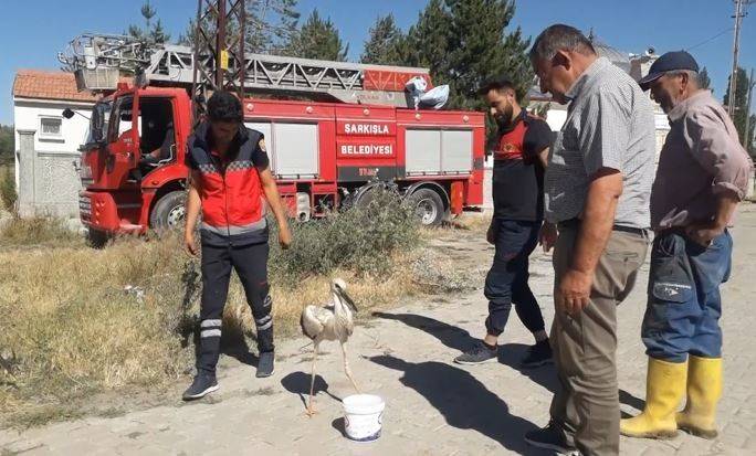Ayağına İp Dolanan Leyleği İtfaiye Ekipleri Kurtardı