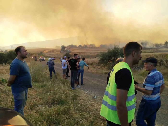 Tekirdağ’daki Orman Yangını Balya Makinasındaki Kıvılcımla Çıkmış