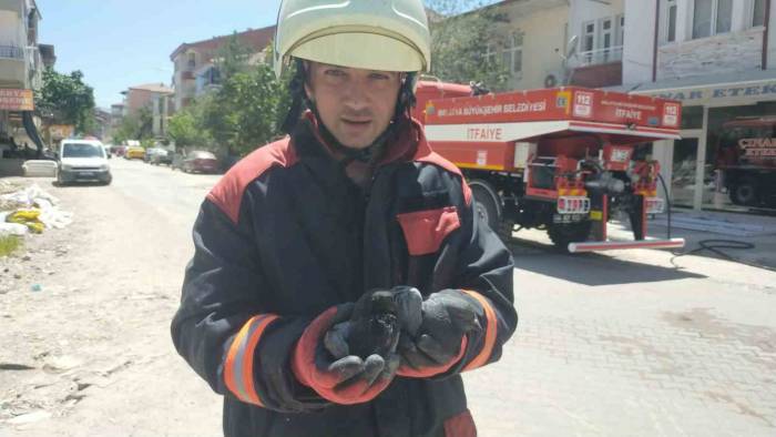 Yangında Etkilenen Güvercinleri İtfaiye Kurtardı