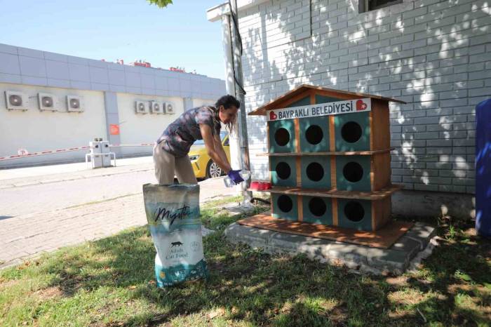 Bayraklı’da Can Dostlar İçin Bir Kap Su Kampanyası