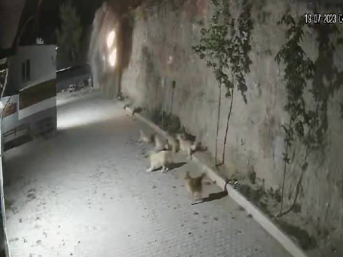 2 Kişiye Mezar Olan Otomobil Uçurumdan Böyle Düştü