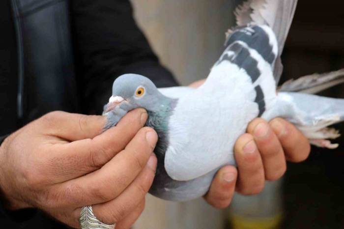Vazgeçilmeyen Bir Tutku, Saatlerce Yanlarında Bekliyorlar