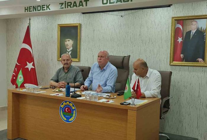 Fındıkta Beklenti 100 Lira