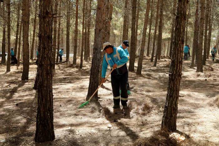 Gaziantep’te Orman Yangınlarını Önleme Çalışmaları 7/24 Devam Ediyor