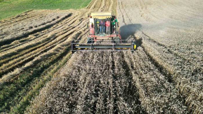 Kozluca’da Hasat Şenliği