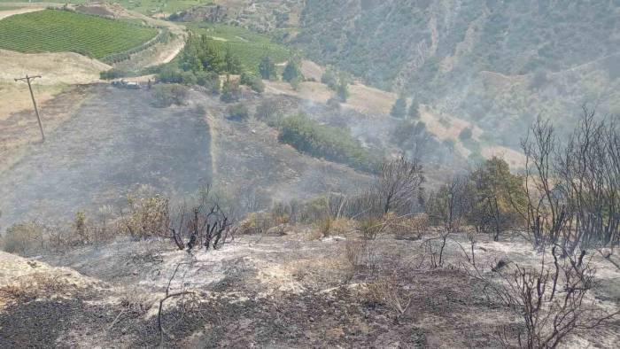 Manisa’da Anız Yangını Makilik Alana Sıçradı