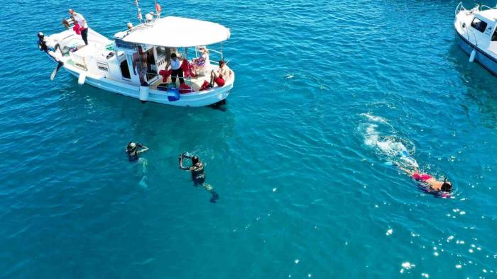 Deniz Dibinden Çıkanlar Vatandaşları Şok Etti