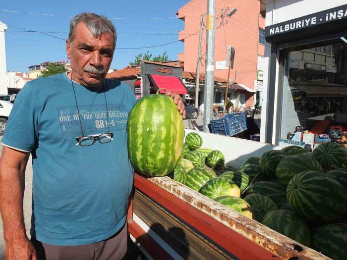 Burhaniye’de Emekli Eğitimci, Çiftçi Oldu