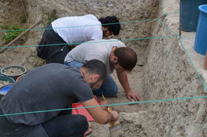 Yol Çalışmalarında Bulundu, Anadolu’nun Milyonlarca Yıllık Geçmişine Işık Tutuyor
