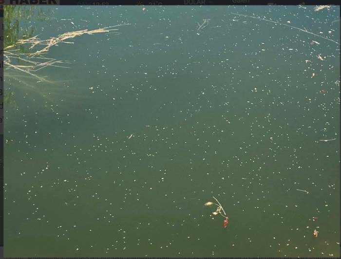 Sivrisineklere Drone İle Havadan Çözüm
