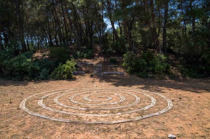 Olivelo Yaşayan Park’ta Safari Turları Yarın Başlıyor