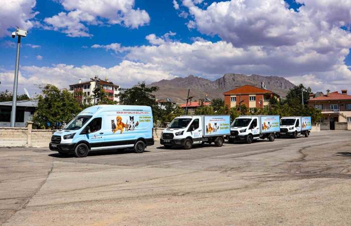 Van Sahipsiz Hayvanlar Birliği Sokak Hayvanları İçin Çalışıyor