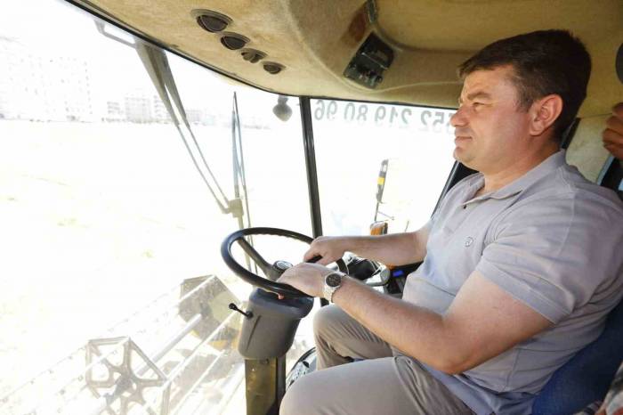 Aksaray Belediyesi Nohut Üretip İhtiyaç Sahiplerine Dağıtıyor