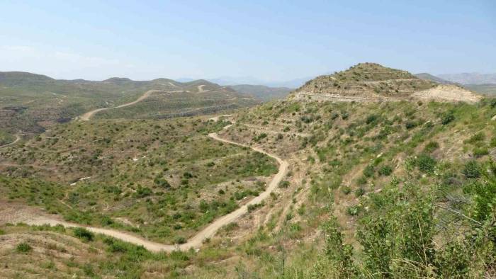 Büyük Yangın Sonrası Manavgat’ta Dikilen 3,5 Milyon Fidan Yeşerdi