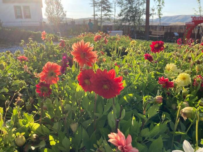 Endemik Vadiyi Yabancı Öğrenciler Ziyaret Etti