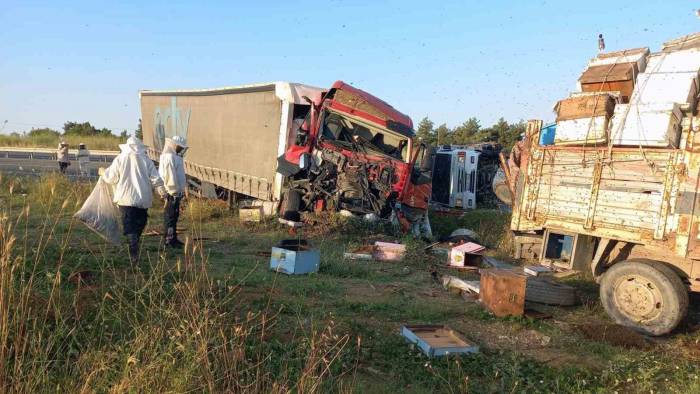 Edirne’de, Muğlalı Arıcılara Tır Çarptı: 4 Ölü, 1 Yaralı