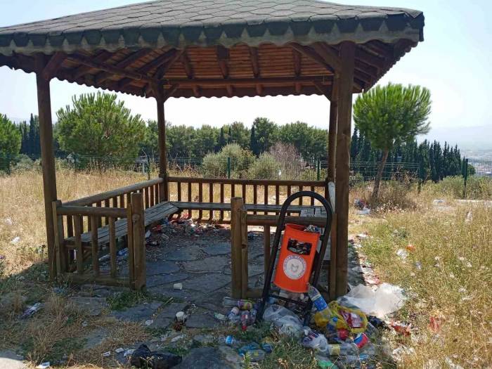 Adü’deki Kamelyalar Mikrop Yuvası Oldu