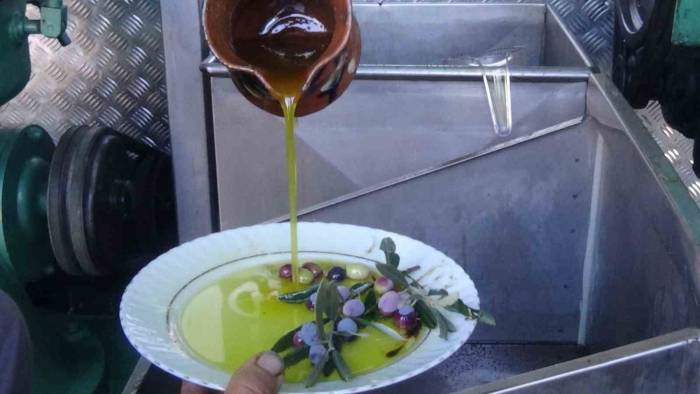 Edremit Zeytinyağı Avrupa Birliği’nden Coğrafi İşaret Tescilini Aldı