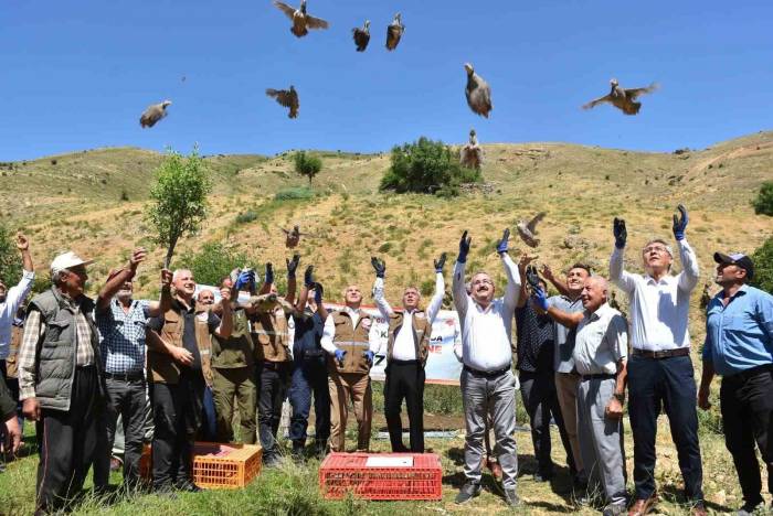 Salihli’de 450 Kınalı Keklik Doğaya Salındı