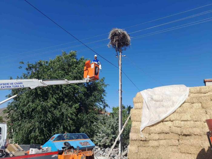Ayağına İp Bağlanan Yavru Leylek Kurtarıldı