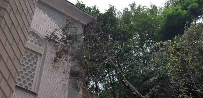 Giresun’da Heyelan Riski Altındaki Binalar Boşaltılıyor