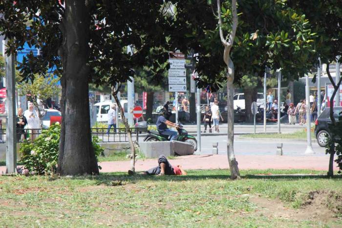 Kavurucu Sıcaklar Bunaltıyor