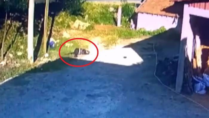 1 Kişinin Hayatını Kaybettiği, 1 Kişinin De Yaralandığı Kaza Anı Kamerada