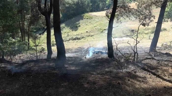 Bursa’da İki Ayrı Noktada Çıkan Yangın Söndürüldü