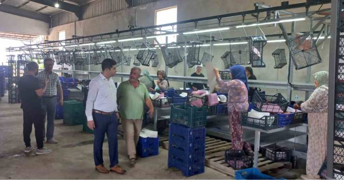 Kaymakam Taş’tan Soğuk Hava Depolarında İnceleme
